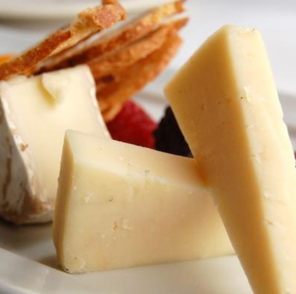 Cheese Kits - All Things Fermented | Home Brew Supplies Shop Wellington Kapiti NZ