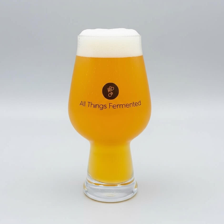Glass of beer with 'All Things Fermented' logo on a gray background