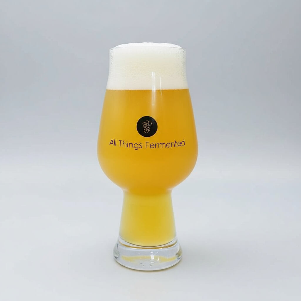 Glass of beer with a white cap, featuring 'All Things Fermented' logo on a gray background