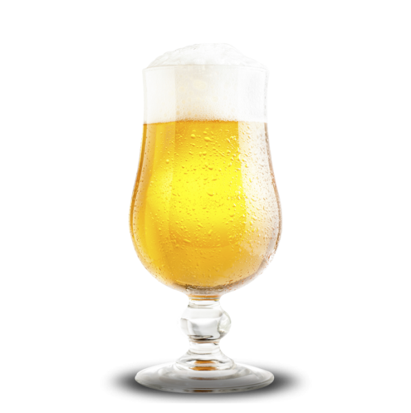ATF Belgian Saison - Grainfather | Brewzilla | Guten - All Things Fermented | Home Brew Supplies Shop Wellington Kapiti NZ
