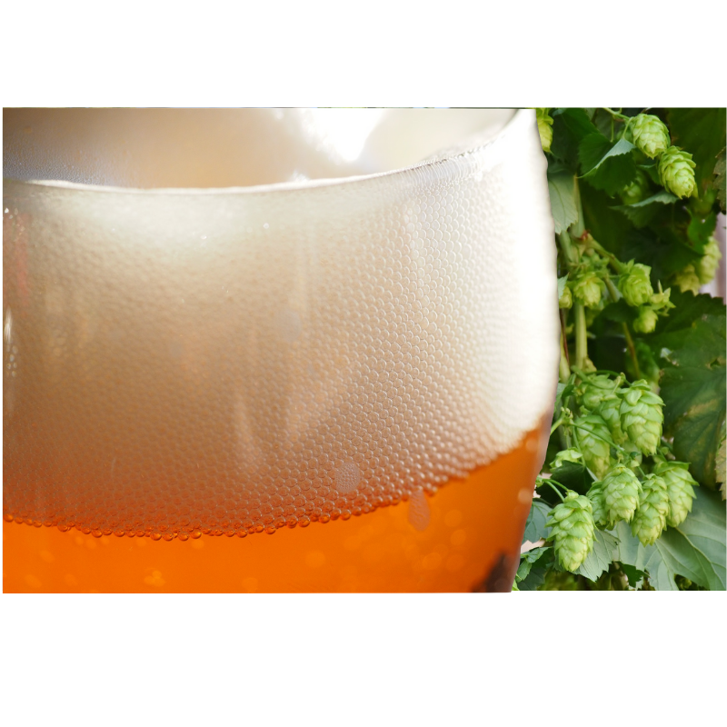 ATF Rebel IPA - Grainfather | Brewzilla | Guten 40 - All Things Fermented | Home Brew Supplies Shop Wellington Kapiti NZ