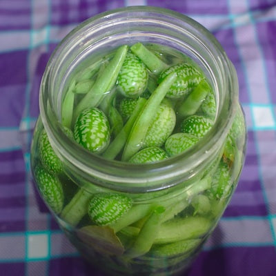 Vegan - All Things Fermented | Home Brew Supplies Shop Wellington Kapiti NZ