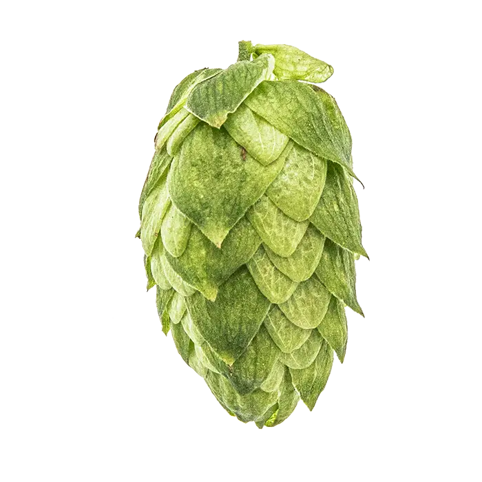 Amarillo® Hops - T90 Pellets 100g