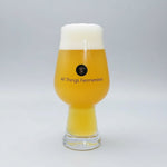 Glass of beer with a white cap, featuring 'All Things Fermented' logo on a gray background