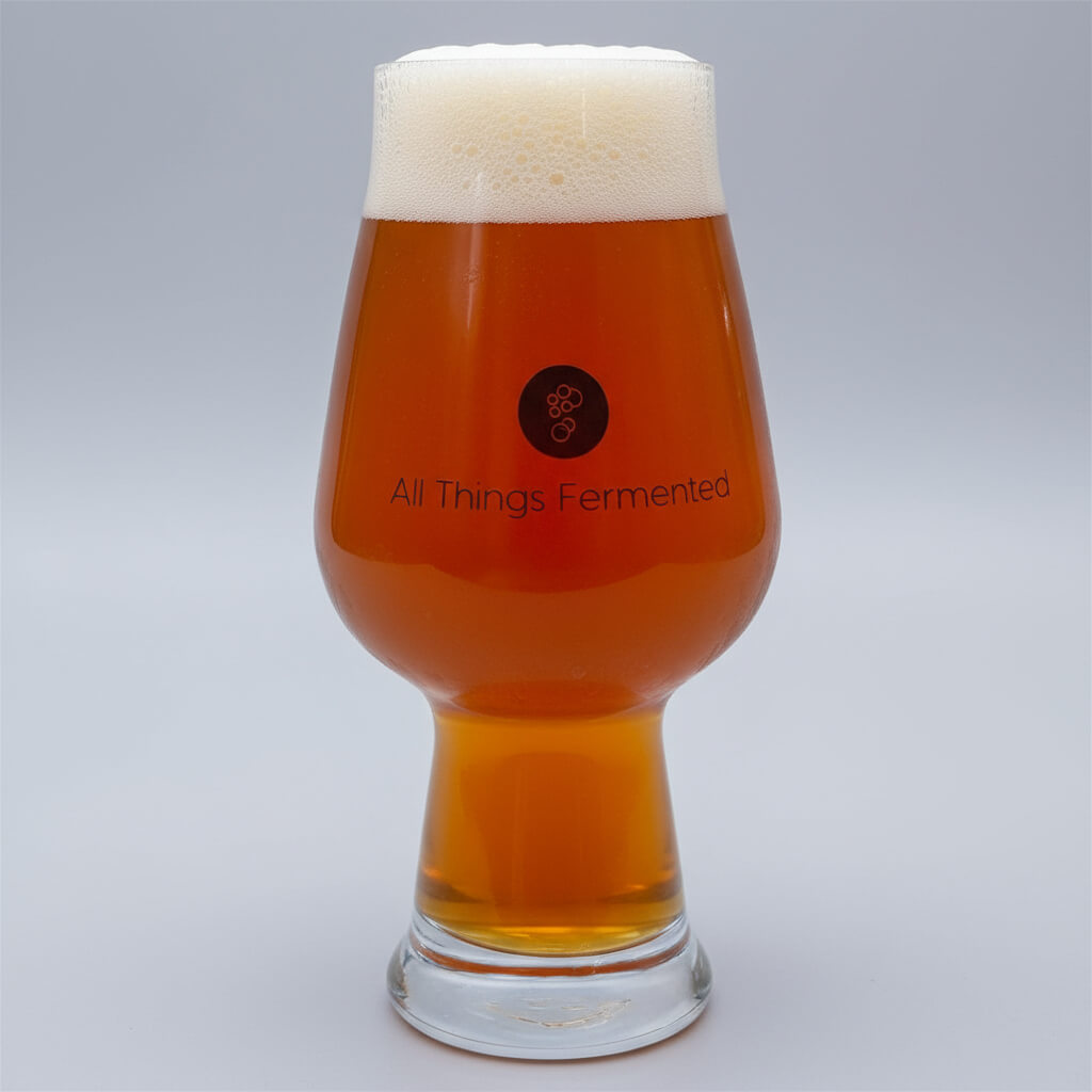 Glass of beer with a white cap, featuring 'All Things Fermented' branding on a light gray background.