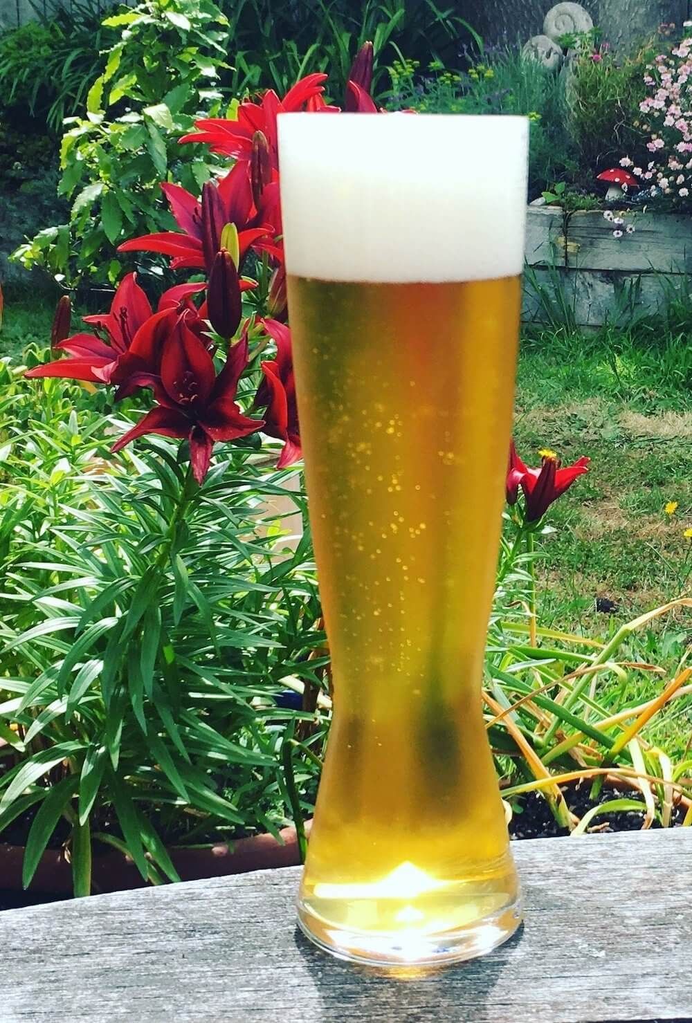 ATF Extract Recipe Kiwi Pilsner All Things Fermented Home Brew