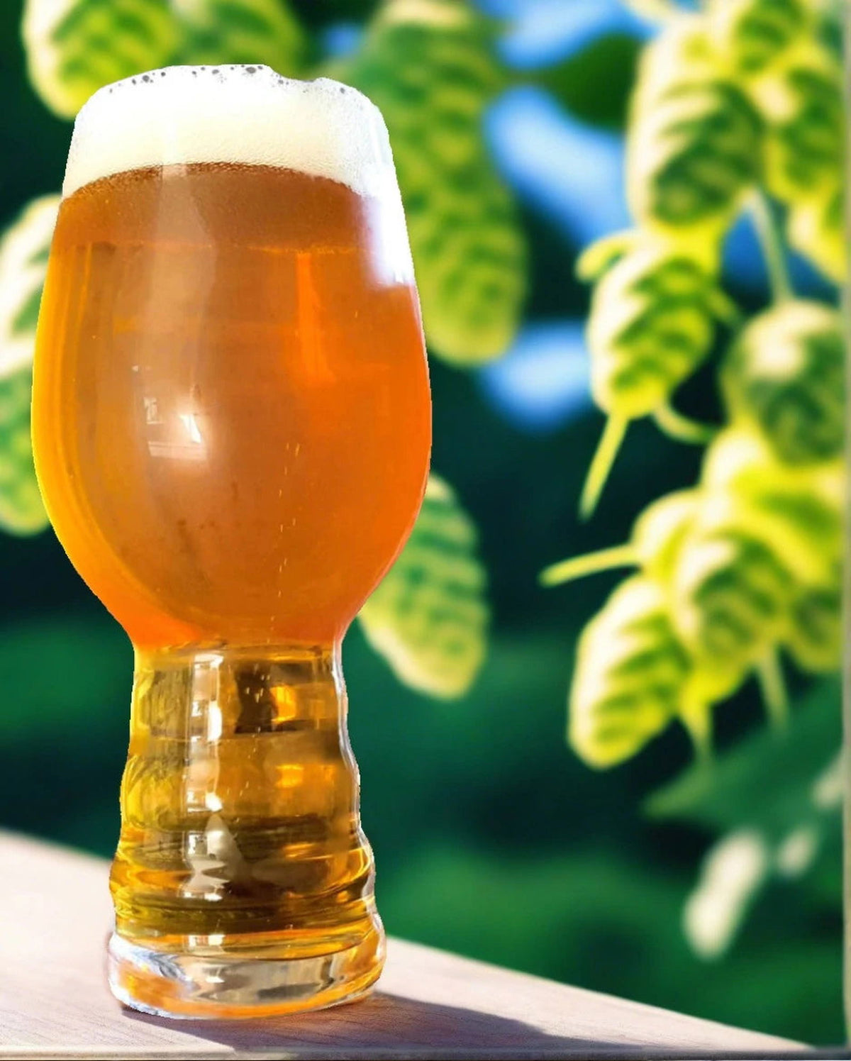 ATF Extract Recipe - West Coast APA - All Things Fermented | Home Brew Supplies Shop Wellington Kapiti NZ