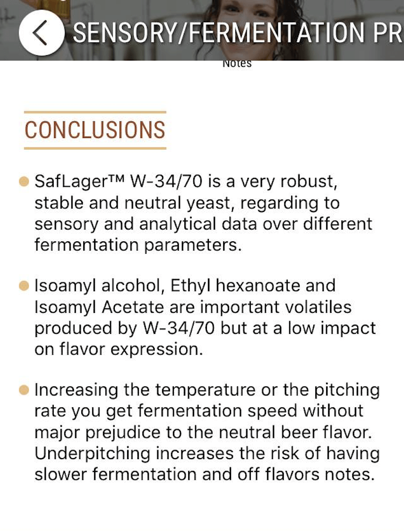 ATF Kiwi Pilsner - All Things Fermented | Home Brew Supplies Shop Wellington Kapiti NZ