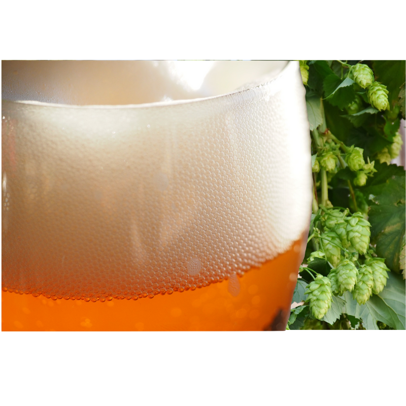 ATF Rebel IPA - Hop Burst Version - All Things Fermented | Home Brew Supplies Shop Wellington Kapiti NZ