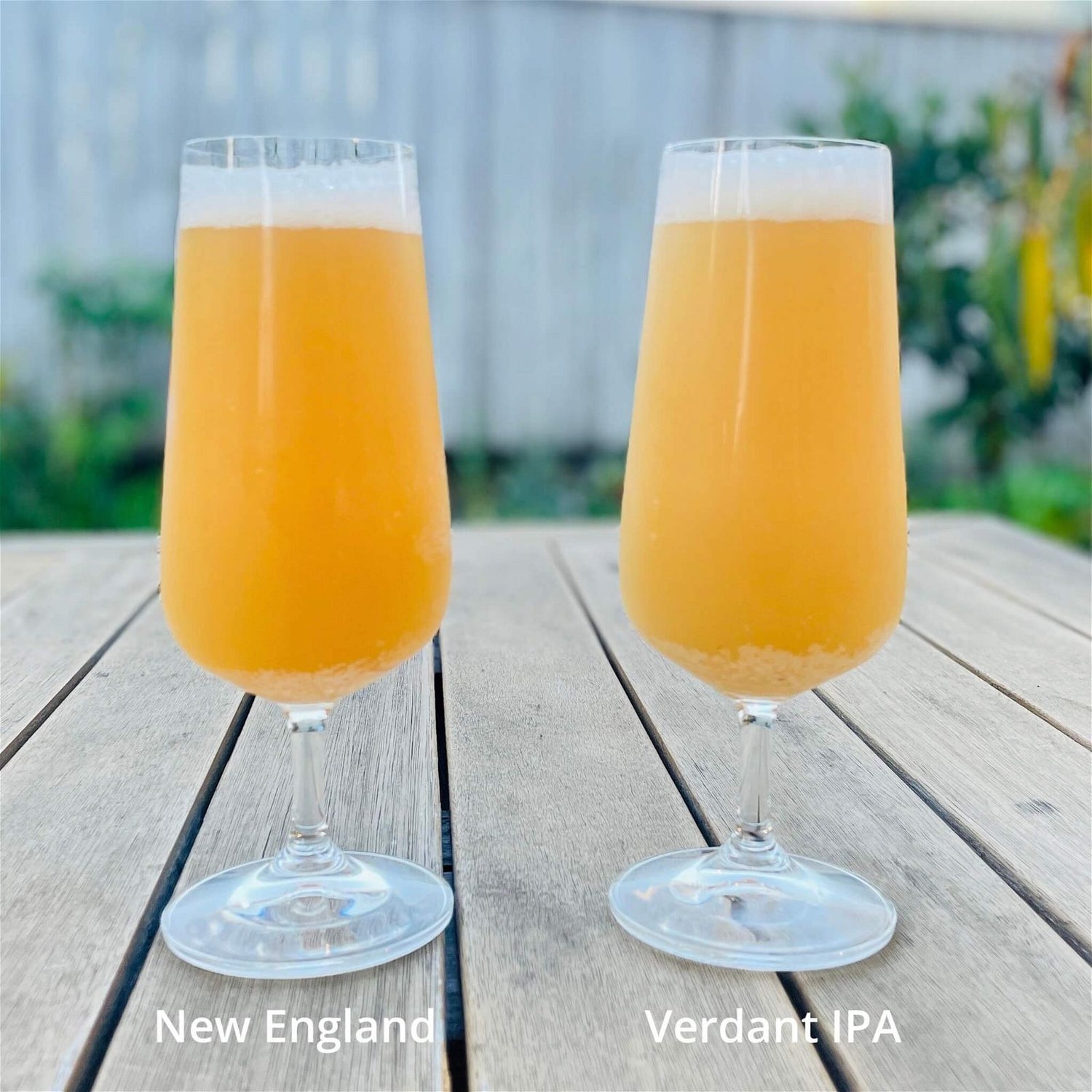 ATF Superdelish - All Things Fermented | Home Brew Supplies Shop Wellington Kapiti NZ