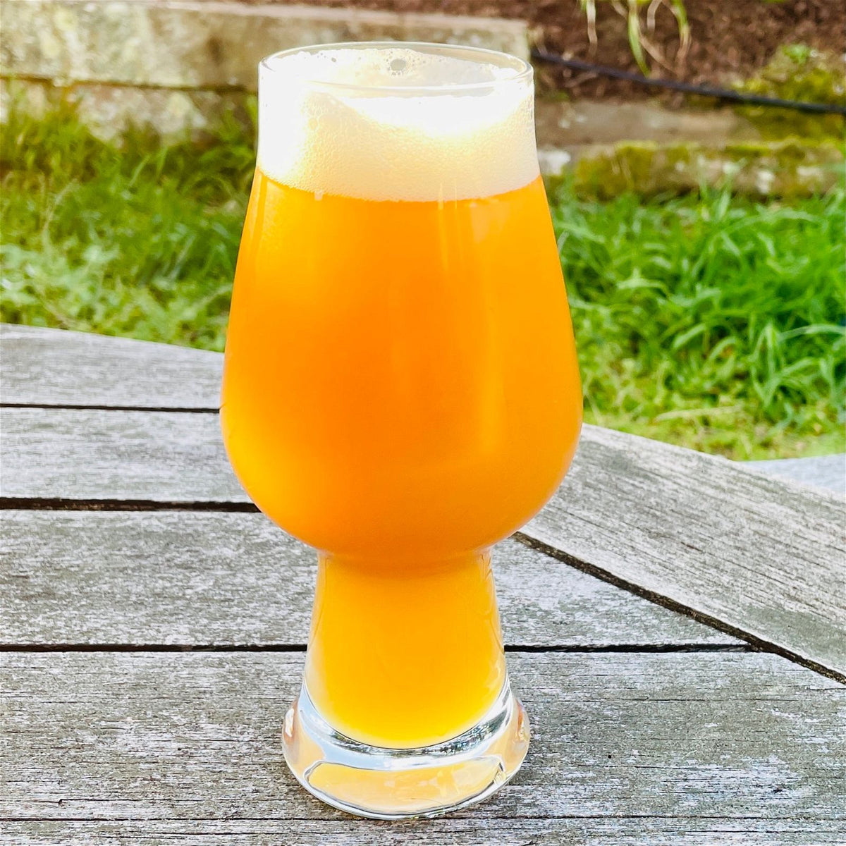 ATF Wicked Weed (Hazy IIPA) - Grainfather | Brewzilla | Guten - All Things Fermented | Home Brew Supplies Shop Wellington Kapiti NZ