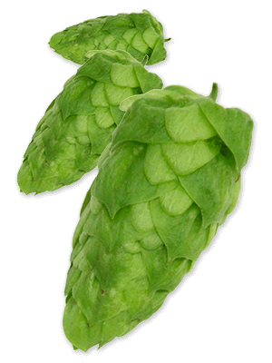 Ahtanum™ Hops - T90 Pellets 100g - All Things Fermented | Home Brew Supplies Shop Wellington Kapiti NZ