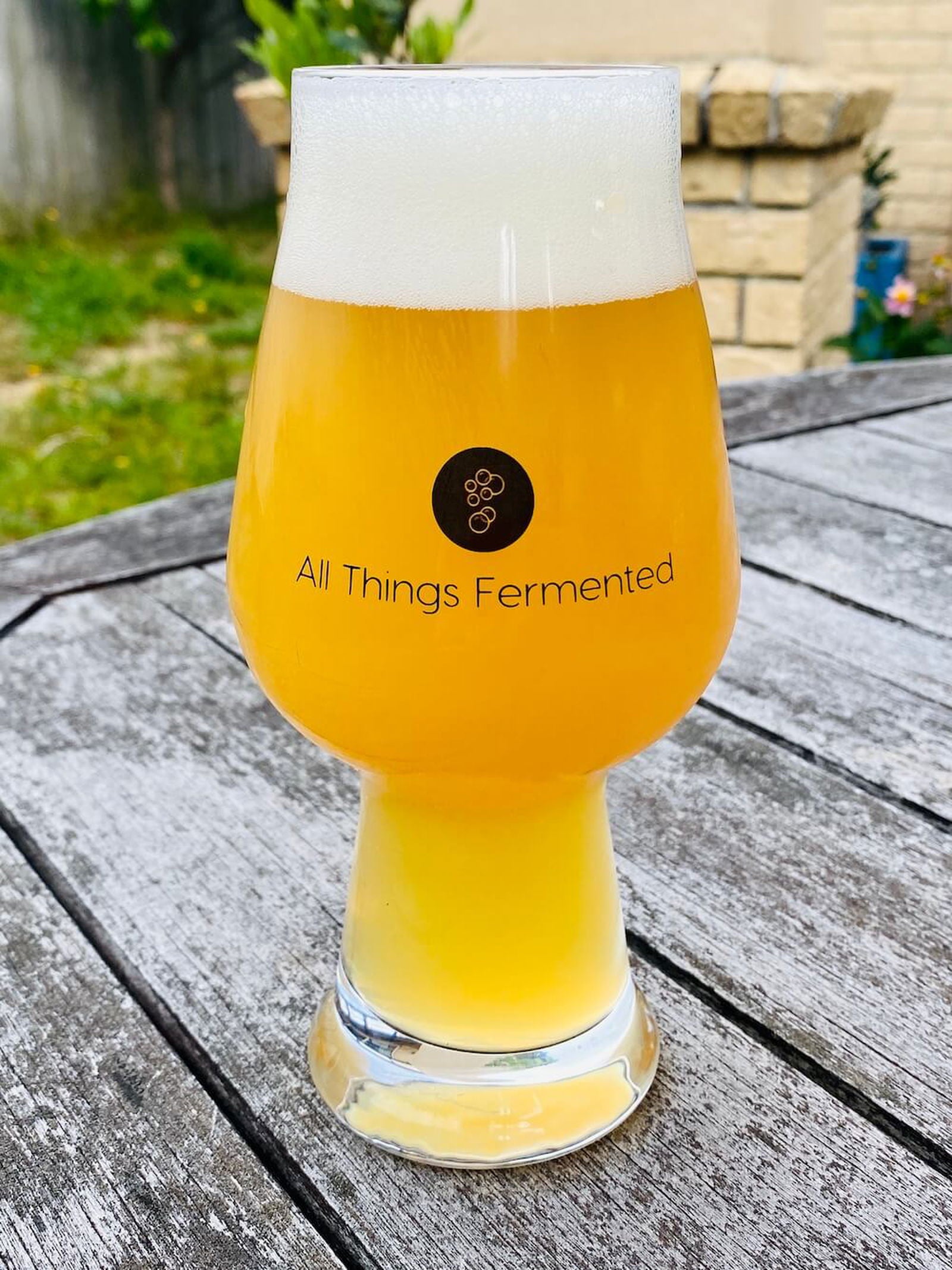 All Things Fermented IPA Glass - 540ml - Set of Two - All Things Fermented | Home Brew Supplies Shop Wellington Kapiti NZ