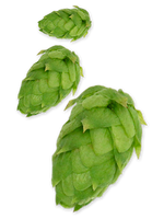 Amarillo® Hops - T90 Pellets 100g - All Things Fermented | Home Brew Supplies Shop Wellington Kapiti NZ