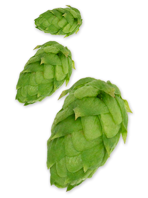 Amarillo® Hops - T90 Pellets 100g - All Things Fermented | Home Brew Supplies Shop Wellington Kapiti NZ