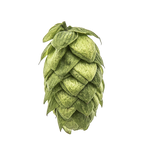 Azacca® Hops - 100g - All Things Fermented | Home Brew Supplies Shop Wellington Kapiti NZ