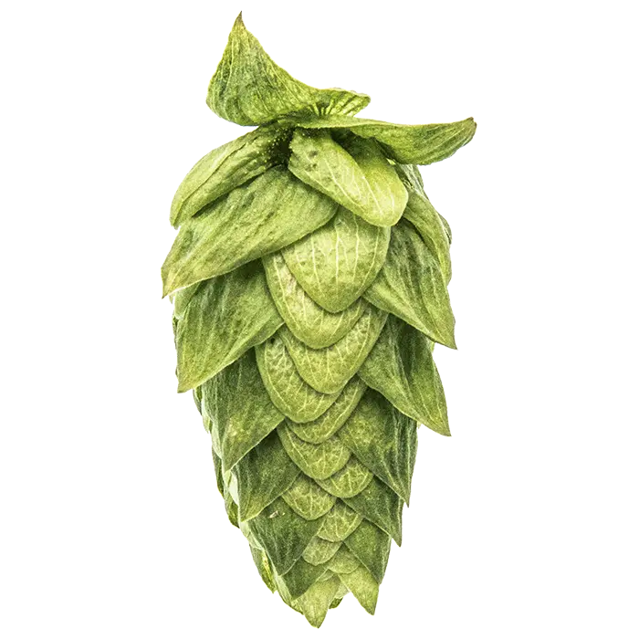 Cascade Hops - T90 Pellets 100g
