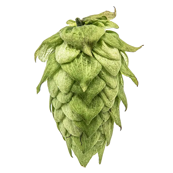 Centennial Hops - T90 Pellets 100g