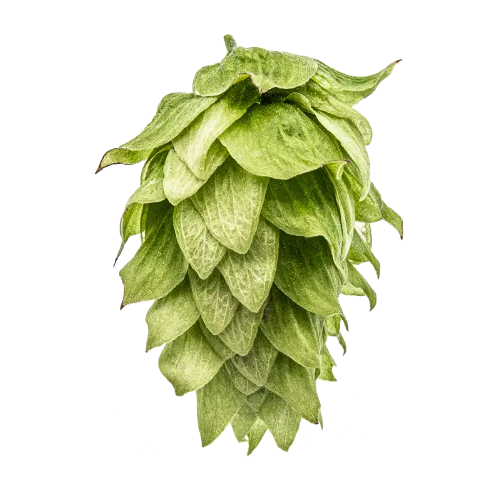 Chinook Hops - T90 Pellets 100g