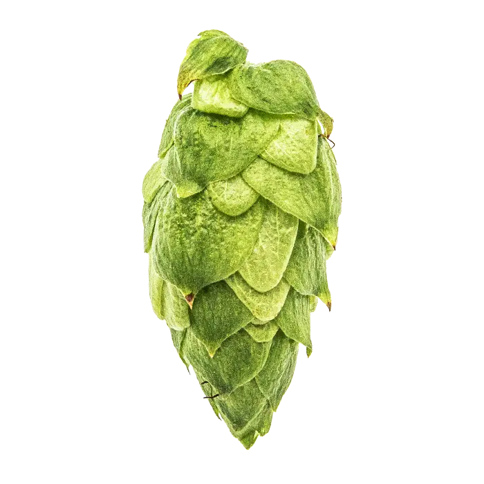Citra Cryo Hops - 50g