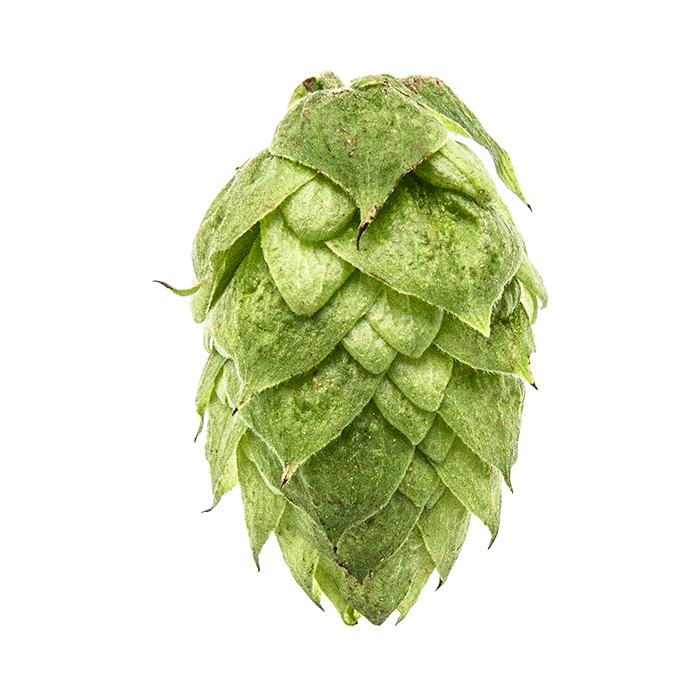 Columbus Hops - T90 Pellets 100g