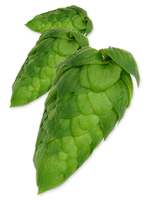 Cascade Hops - T90 Pellets 100g - All Things Fermented | Home Brew Supplies Shop Wellington Kapiti NZ
