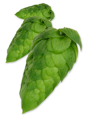 Cascade Hops - T90 Pellets 100g - All Things Fermented | Home Brew Supplies Shop Wellington Kapiti NZ