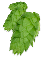 Chinook Hops - T90 Pellets 100g - All Things Fermented | Home Brew Supplies Shop Wellington Kapiti NZ