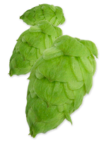 Citra Cryo Hops - 50g - All Things Fermented | Home Brew Supplies Shop Wellington Kapiti NZ