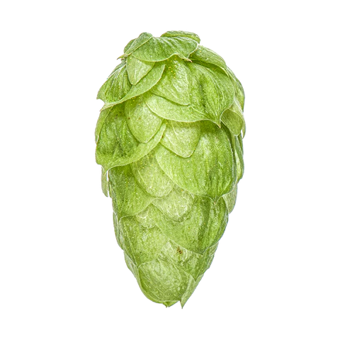 Dr Rudi Hops 2025 Harvest - T90 Pellets 100gm