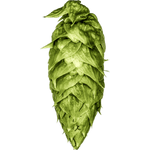 Ekuanot Hops - 100g - All Things Fermented | Home Brew Supplies Shop Wellington Kapiti NZ