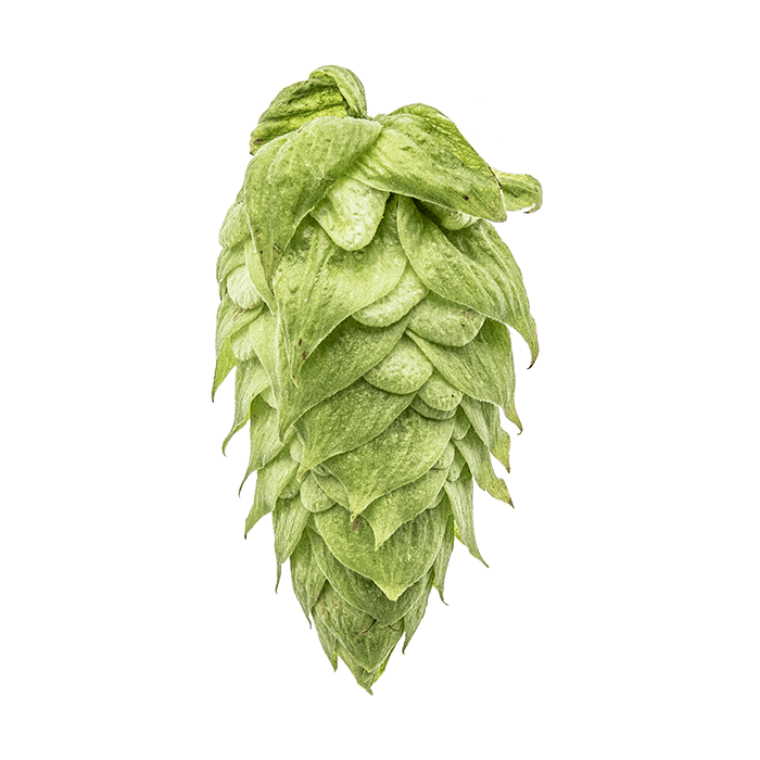 El Dorado Hops - T90 Pellets 100g - All Things Fermented | Home Brew Supplies Shop Wellington Kapiti NZ