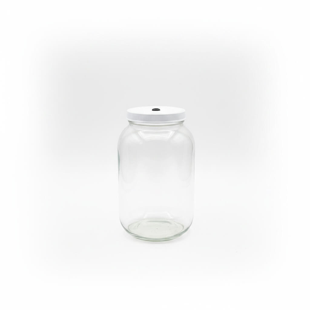 Handcraft Supplies 1 Gallon (3.8L) Glass Jar & Lid with Grommet