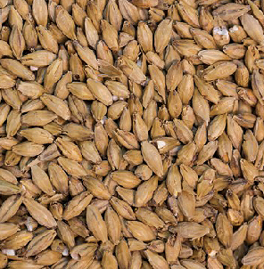 Gladfield American Ale Malt - All Things Fermented | Home Brew Supplies Shop Wellington Kapiti NZ