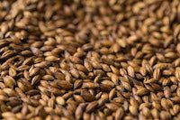 Gladfield Brown Malt - All Things Fermented | Home Brew Supplies Shop Wellington Kapiti NZ