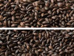 Gladfield Chocolate Malt - Dark - All Things Fermented | Home Brew Supplies Shop Wellington Kapiti NZ
