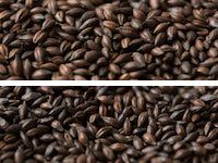 Gladfield Chocolate Malt - Dark - All Things Fermented | Home Brew Supplies Shop Wellington Kapiti NZ