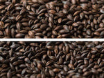 Gladfield Chocolate Malt - Light - All Things Fermented | Home Brew Supplies Shop Wellington Kapiti NZ
