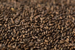 Gladfield Chocolate Rye Malt - All Things Fermented | Home Brew Supplies Shop Wellington Kapiti NZ