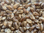 Gladfield Crystal Wheat - All Things Fermented | Home Brew Supplies Shop Wellington Kapiti NZ