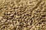 Gladfield Distillers Malt - 25kg Sack Unmilled - All Things Fermented | Home Brew Supplies Shop Wellington Kapiti NZ