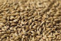 Gladfield Distillers Malt - 25kg Sack Unmilled - All Things Fermented | Home Brew Supplies Shop Wellington Kapiti NZ