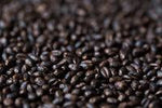 Gladfield Eclipse Wheat Malt - All Things Fermented | Home Brew Supplies Shop Wellington Kapiti NZ