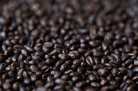 Gladfield Eclipse Wheat Malt - All Things Fermented | Home Brew Supplies Shop Wellington Kapiti NZ
