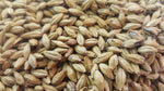 Gladfield Gladiator Malt - All Things Fermented | Home Brew Supplies Shop Wellington Kapiti NZ