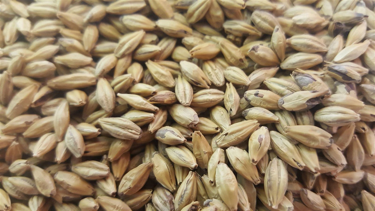 Gladfield Gladiator Malt - All Things Fermented | Home Brew Supplies Shop Wellington Kapiti NZ