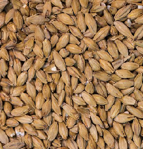Gladfield Lager Light Malt - 25kg Sack Unmilled - All Things Fermented | Home Brew Supplies Shop Wellington Kapiti NZ