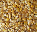 Gladfield Maize Malt - All Things Fermented | Home Brew Supplies Shop Wellington Kapiti NZ