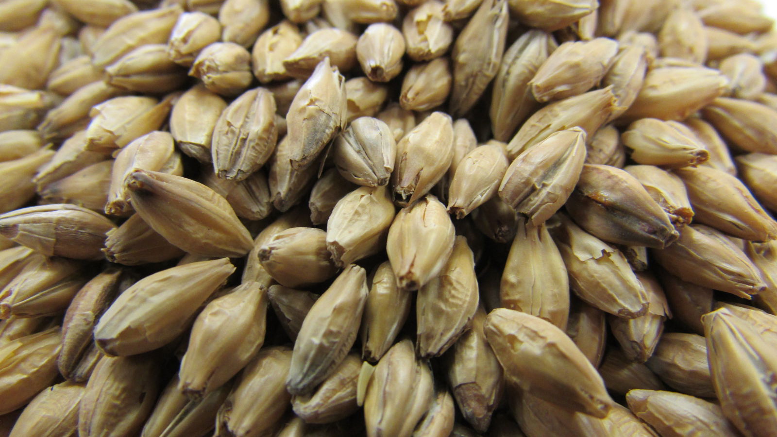 Gladfield Peat Smoked Malt - All Things Fermented | Home Brew Supplies Shop Wellington Kapiti NZ