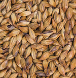 Gladfield Redback Malt - All Things Fermented | Home Brew Supplies Shop Wellington Kapiti NZ
